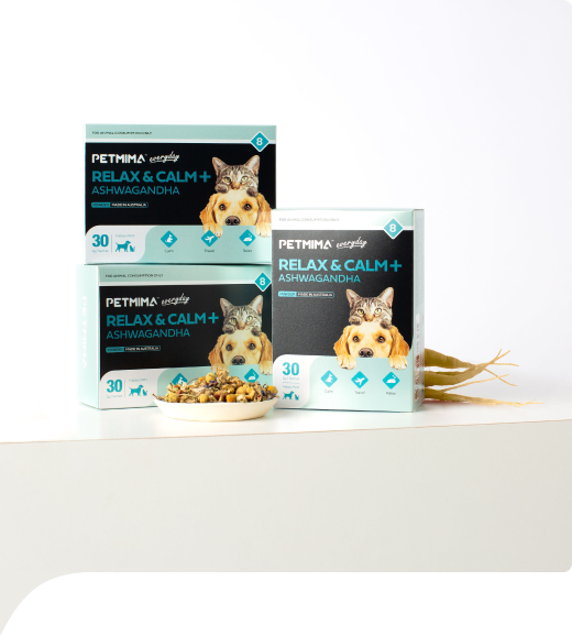 Calming Supplement Powder for Dogs and Cats - 30 x 2g Sachets (made in Australia)