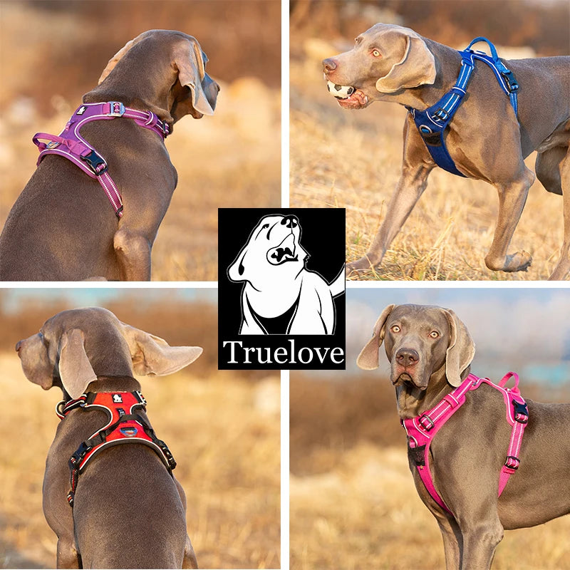 Dog Harness with Breathable Mesh Padding and reflective trim - Adjustable Lightweight Fit, Purple, size M