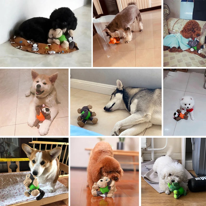Squeaky Plush Dog Chew and Fetch Toy - Corduroy and Rubber - Koala