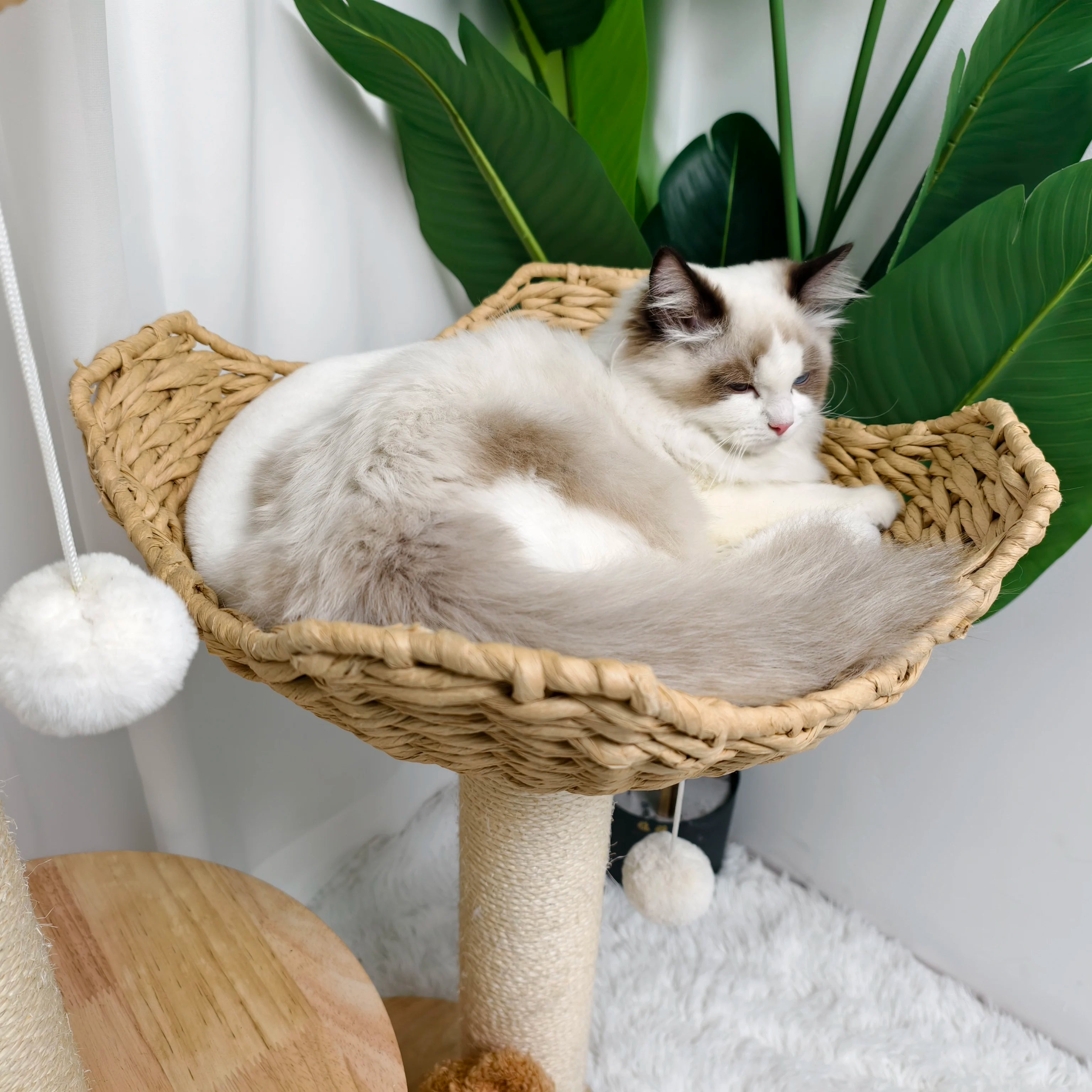 Wooden Cat Tree with Condo Baskets, Sisal scratching posts and Hanging Toy