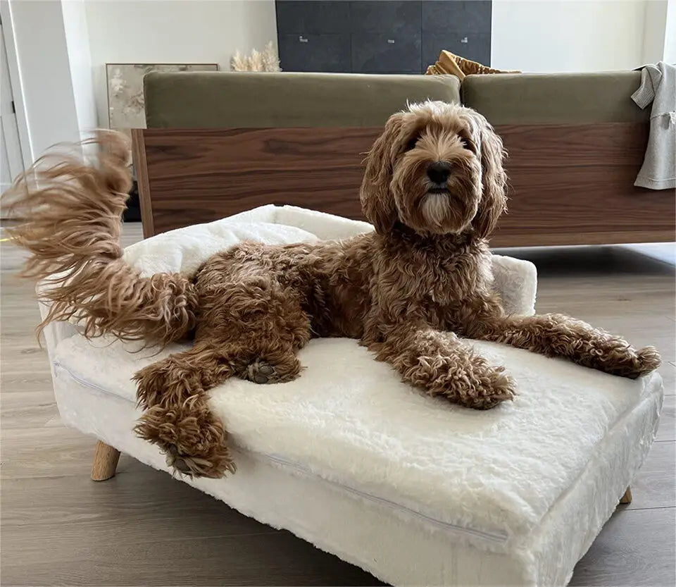 Luxury elevated Pet Lounger Sofa Bed with Plush Cushion and Wooden Legs Raised Backrest for Dogs and Cats. (Small 67.5 x 38cm, 20kg)