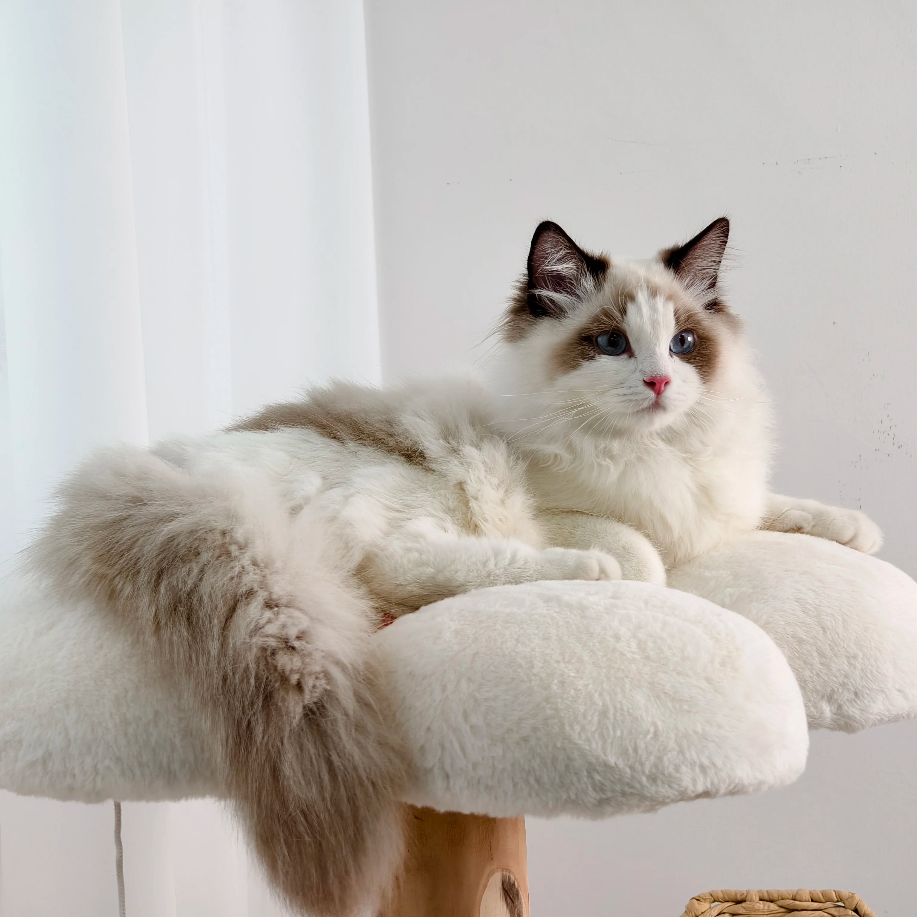 Cat Tree with Sisal Scratching Post and Removable Washable Mats
