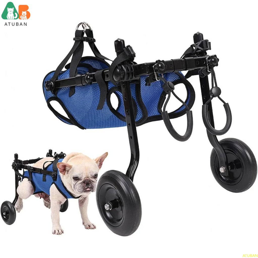 Adjustable Pet Wheelchair Cart for Dogs and Cats Lightweight Aluminum Frame Hind Leg Support, Size M (see sizing chart)