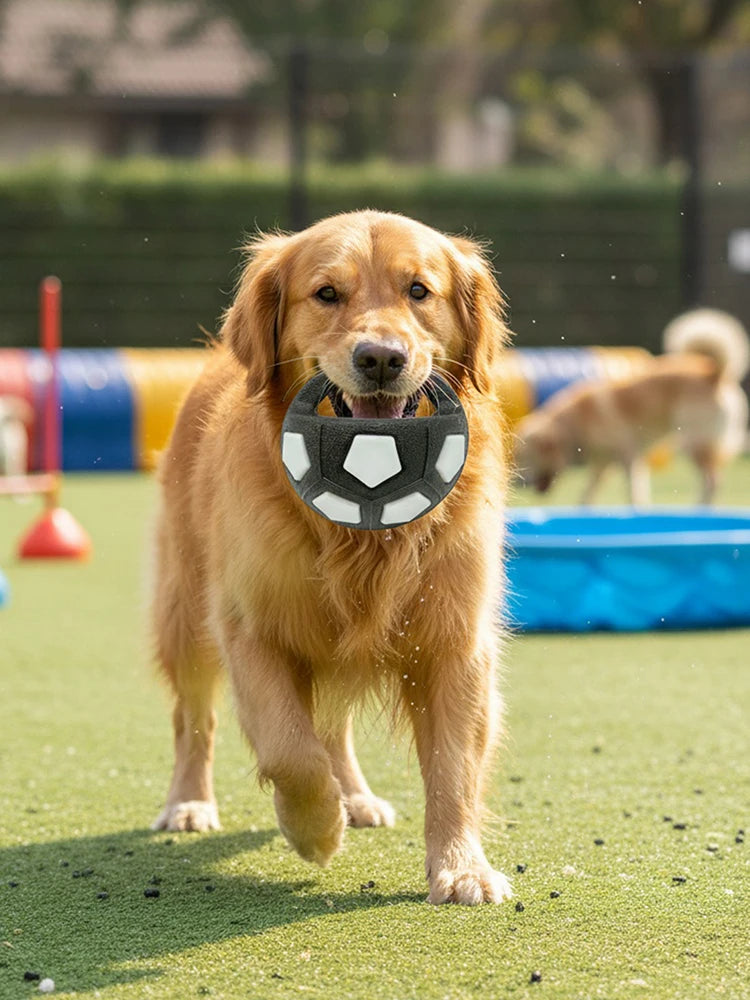 Interactive Squeaky Dog Ball with Handle for Outdoor Play - Medium Large Breeds (White)