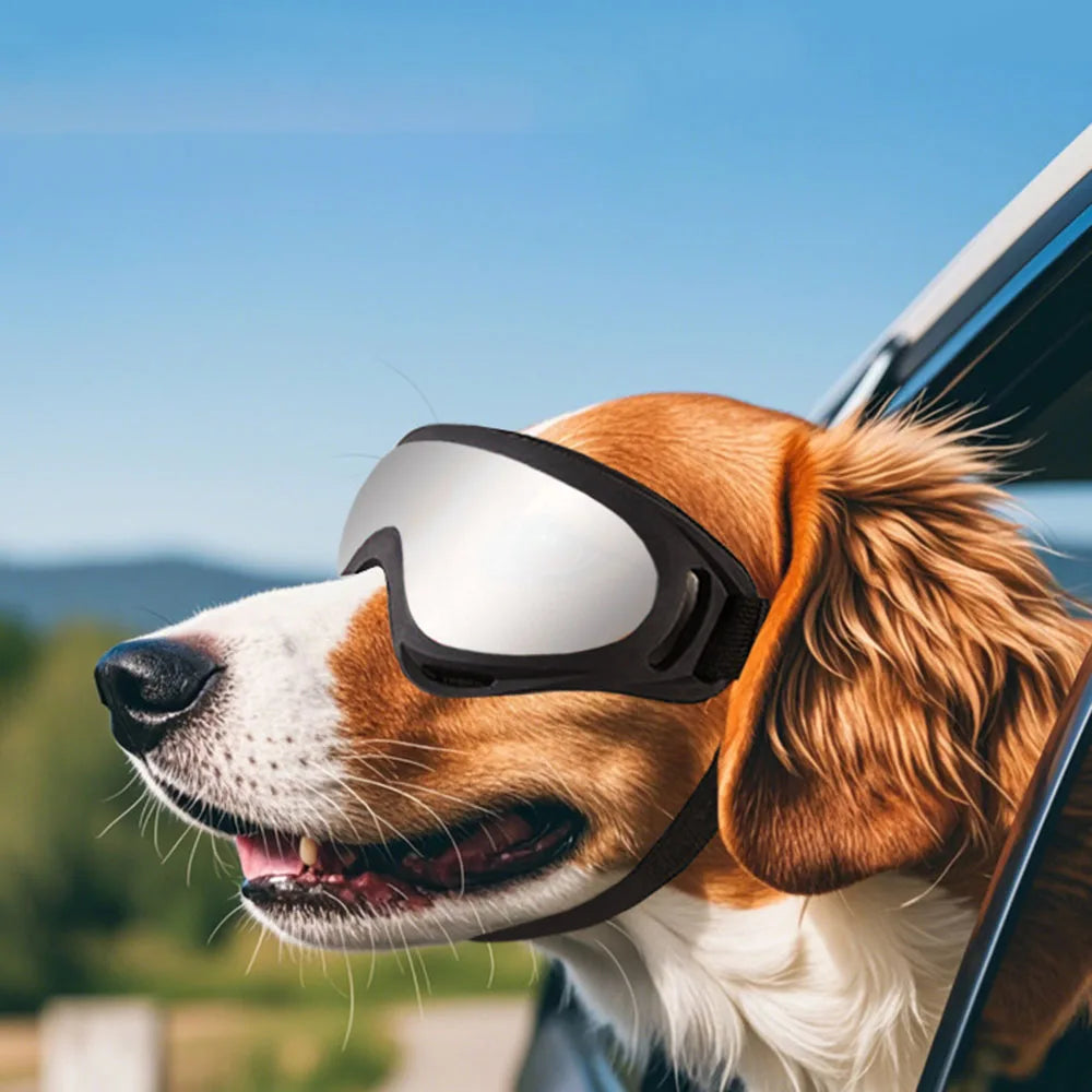 Dog Sunglasses Lightweight Adjustable Pet Goggles for Outdoor Activities