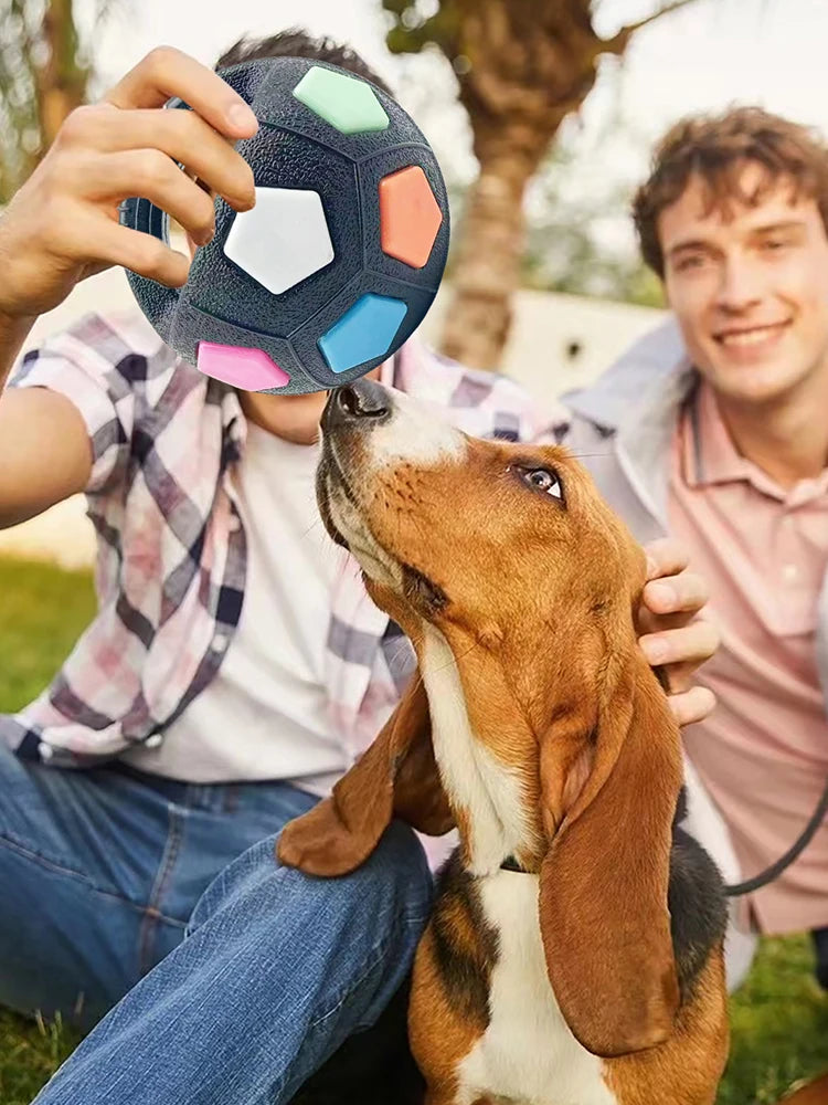 Interactive Squeaky Dog Ball with Handle for Outdoor Play - Medium Large Breeds (Red)