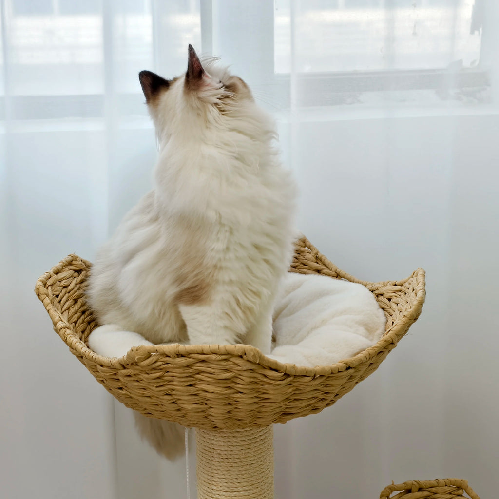 Wooden Cat Tree with Condo Baskets, Sisal scratching posts and Hanging Toy