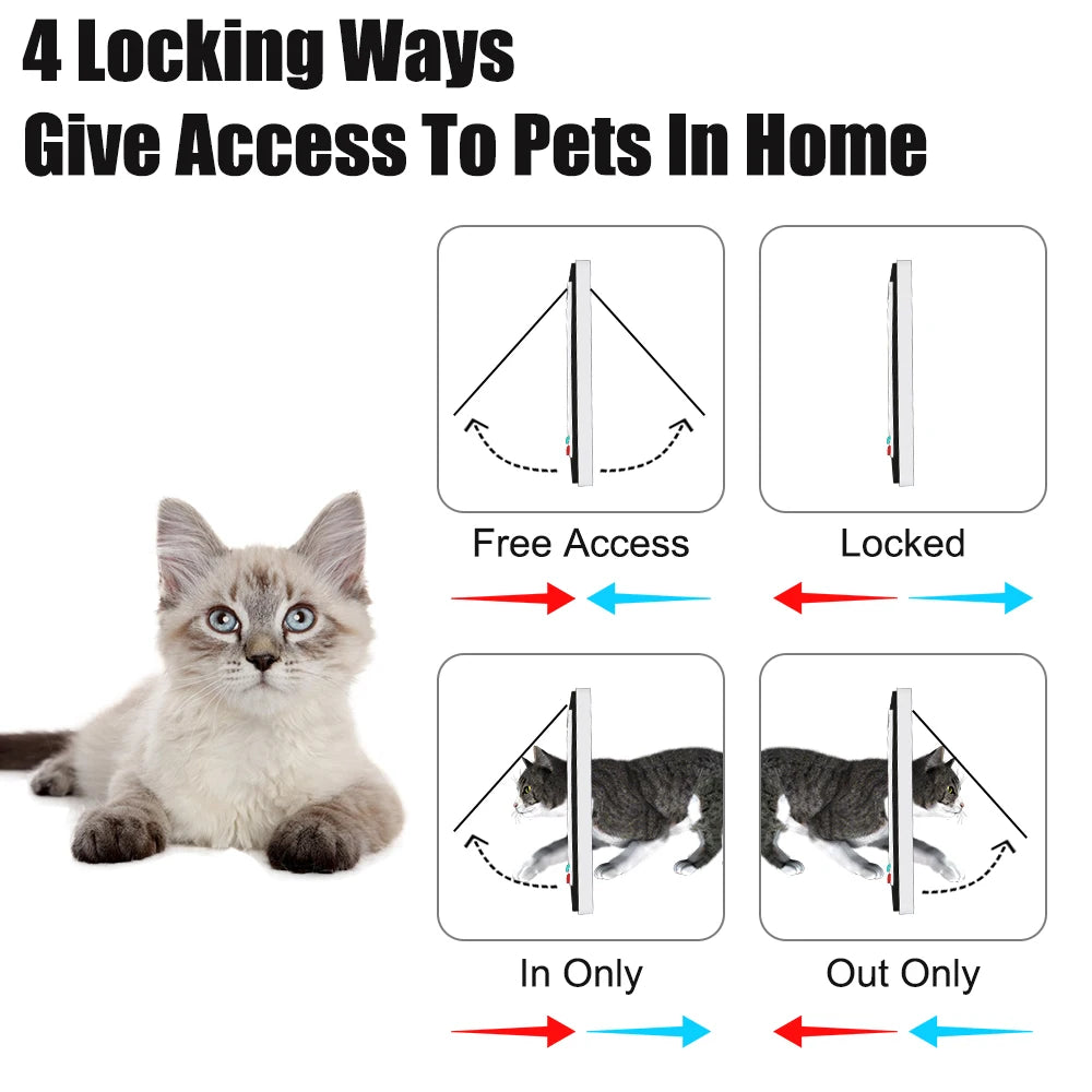 ABS Plastic Pet Door Flap with 4 Way Lock Weatherproof Seal for Cats and Small Dogs (M: 19*19.7*5.3cm)