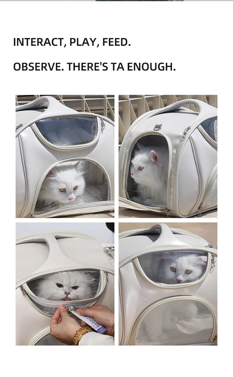 Soft Sided Expandable Pet Carrier Backpack with Ventilated Panels and trolley