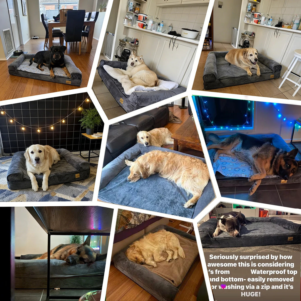 Orthopedic Memory Foam Dog Bed Sofa with Removable Waterproof Cover XL 120x90x20 cm