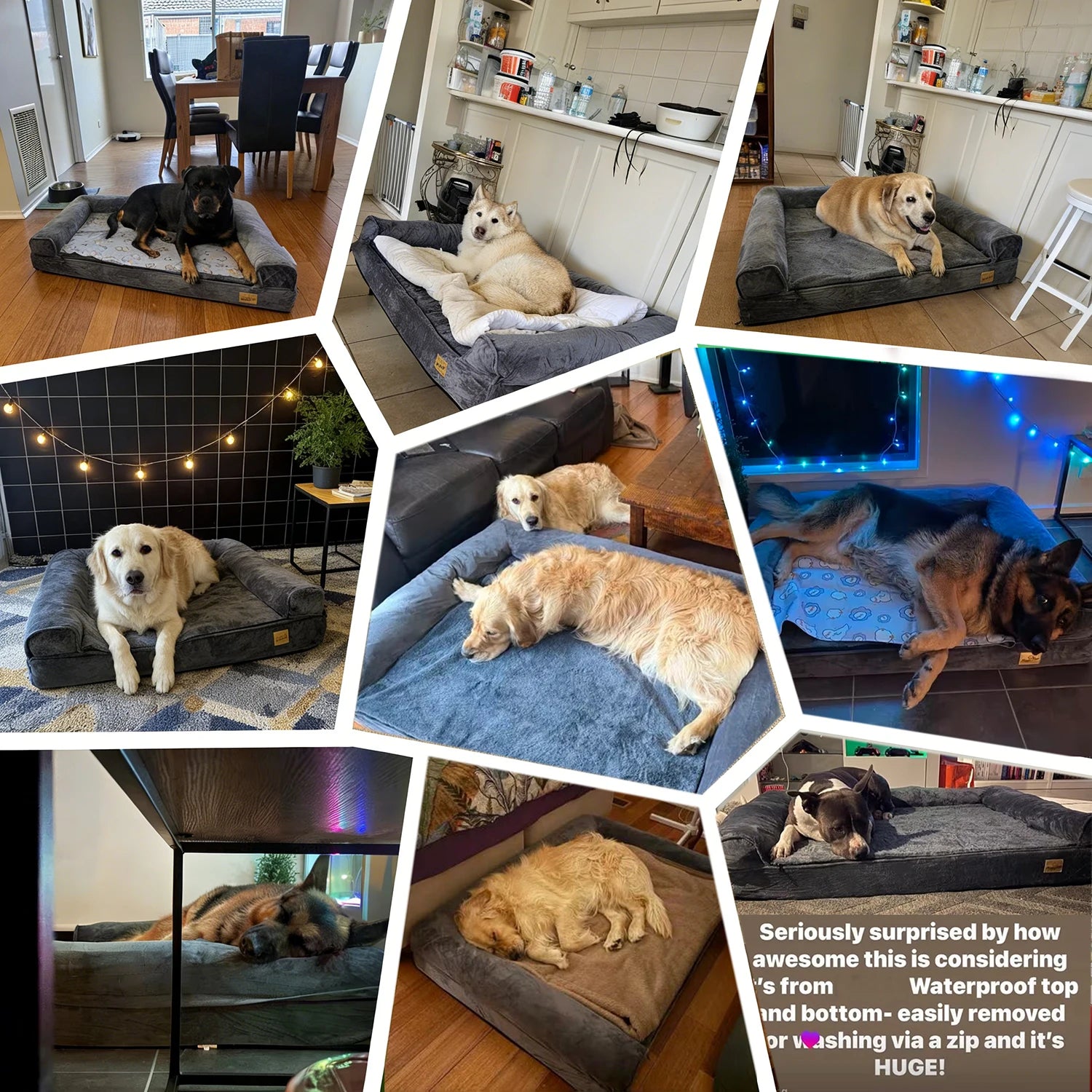 Orthopedic Memory Foam Dog Bed Sofa with Removable Waterproof Cover - 2XL 120x90x20 cm