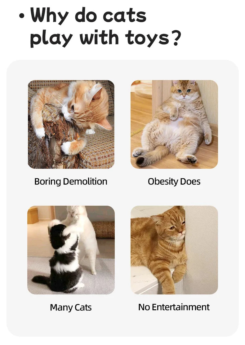 Interactive Indoor Cat Chase Toy with Remote and Adjustable Speed, Rechargeable