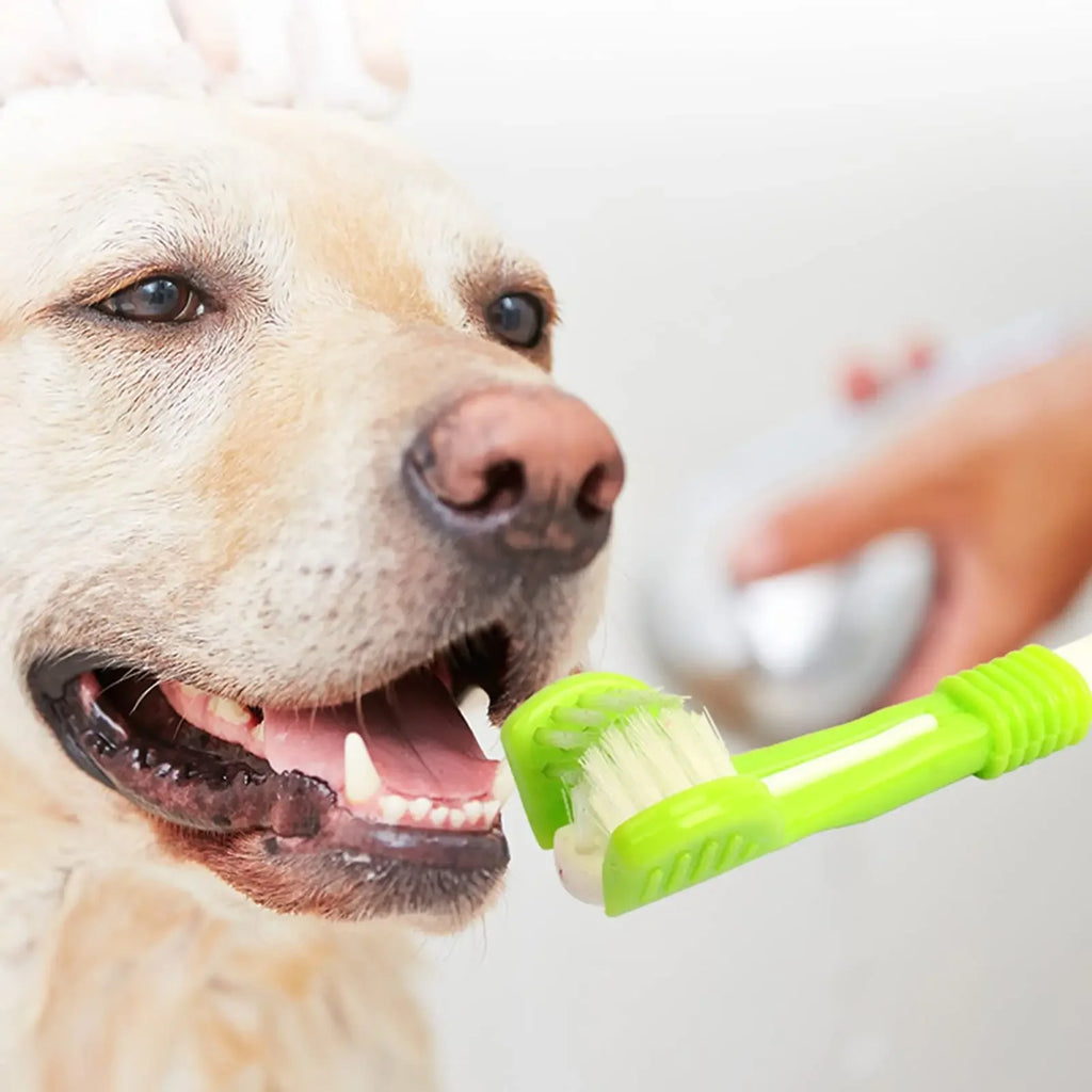 3 Sided Pet Toothbrush for Dogs,  Soft Bristles for Daily Dental Cleaning