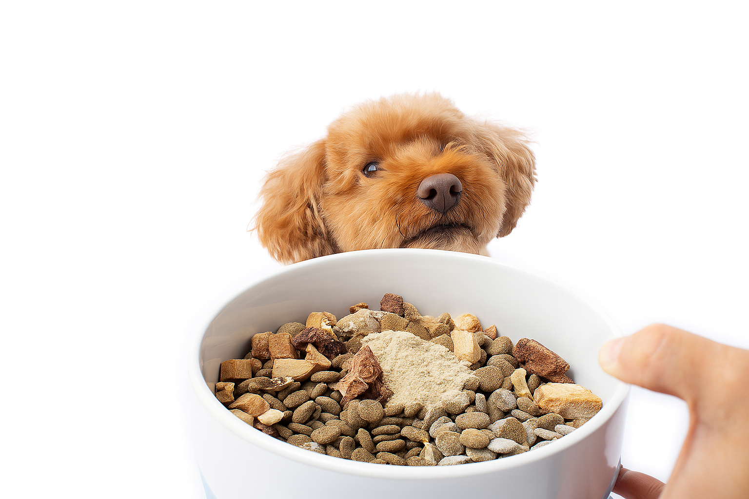 Calming Supplement Powder for Dogs and Cats - 30 x 2g Sachets (made in Australia)
